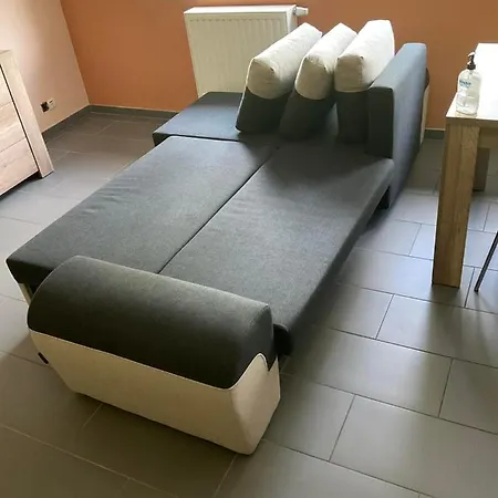 Le Petit Parc Apartment